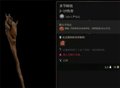 《博德之门》道具获取攻略大全 《博德之门》道具怎么获得