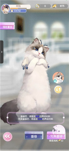 《超喵星计划》怎么快速升喵力值 《超喵星计划》游玩技巧一览