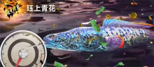 《欢乐钓鱼大师》稀有鱼类怎么钓方法教程介绍一览