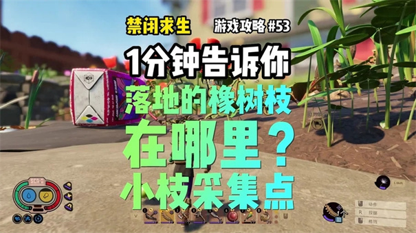 禁闭求生2蓟刺怎么获得