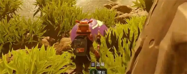 禁闭求生2蓝莓皮革怎么获得