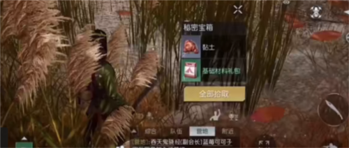 《黎明觉醒》湖心岛宝箱位置一览 黎明觉醒湖心岛宝箱位置大全4