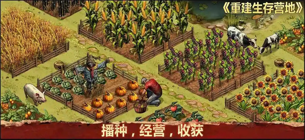 重建生存营地兑换码大全