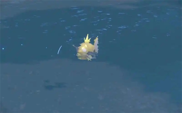 宝可梦传说za闪光鲤鱼王怎么刷