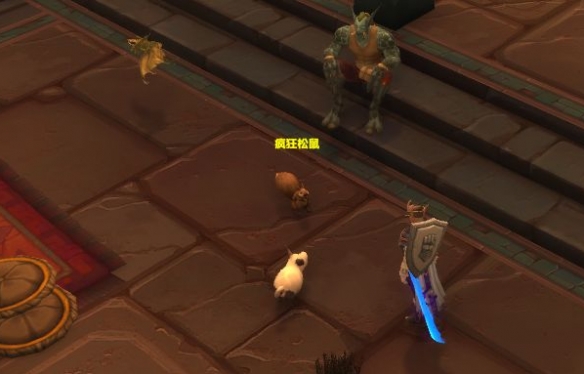 ‌《魔兽世界》20周年活动：疯狂松鼠npc位置全指引